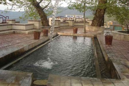 درختان “حوزه لاره” نوسود ثبت ملی می‌شوند