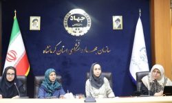 کارگاه علمی “تازه‌های درمان ناباروری” در کرمانشاه برگزار شد