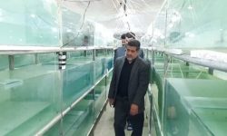 به مناسبت هفته دولت ۲ طرح شیلاتی در کرمانشاه افتتاح شد