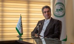 رئیس شورای ملی نخود از احتمال ممنوعیت صادرات این محصول خبر داد