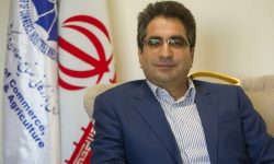 قیمت خرید گندم ۲۳ هزار و ۷۰۰ تومان منطقی است