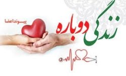 اهدای عضو شهروند سنقری در پی سکته مغزی به بیماران نیازمند ارسال