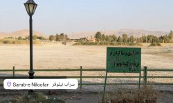 احیاء “سراب نیلوفر” ۳ تا ۵ سال زمان می‌خواهد