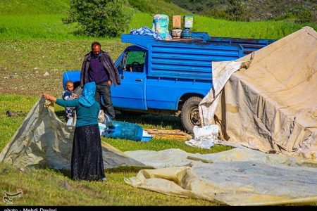 عشایر با حذف ارز ترجیحی متضرر شدند/ گلایه عشایر از تغییر قیمت کپسول گاز مایع