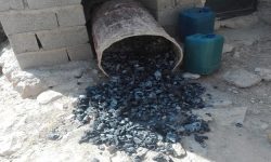 مدیرکل منابع طبیعی کرمانشاه: صادرات زغال به خارج از استان نداریم