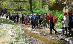 شناسایی ۳۰۰ تورگردشگری غیرمجاز در کرمانشاه