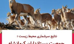 نتایج سرشماری محیط زیست