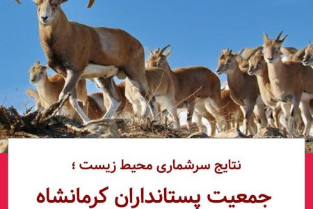 نتایج سرشماری محیط زیست