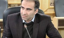 معاون دانشگاه رازی: مجلس قوی میتواند دولت را به سمت کارآیی بیشتر سوق دهد