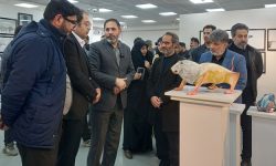 «هنر» زبانی ماندگار است