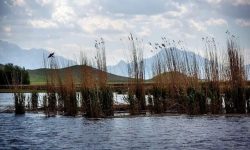 “هشیلان” جان گرفت