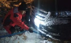 مدیرعامل جمعیت هلال احمر استان کرمانشاه خبر داد؛ امدادرسانی به ۱۱۸ خودرو و ۳۲۴ فرد گرفتار در برف و کولاک کرمانشاه