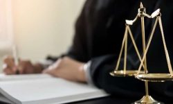تلخ شدن کامِ قاچاقچیان بادام هندی در کرمانشاه
