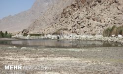 جان دوباره بر تن خشکیده «هشیلان»/بازگشت پرندگان