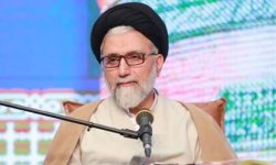 وزیر اطلاعات: مشارکت در انتخابات بازدارندگی پایدار تولید می‌کند