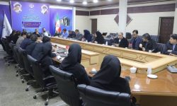 رئیس سازمان سرمایه گذاری و مشارکتهای مردمی شهرداری کرمانشاه: پروژه شهربازی لوتوس و مجتمع میلاد در یک قدمی قرارداد است