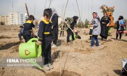 یک میلیون اصله نهال در کرمانشاه غرس میشود