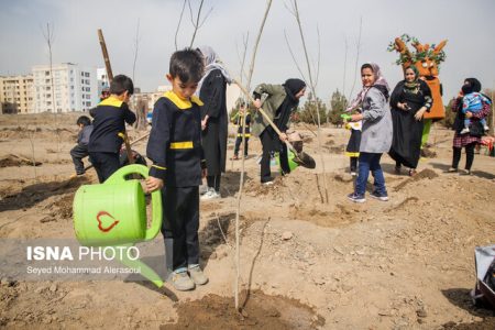 یک میلیون اصله نهال در کرمانشاه غرس می‌شود