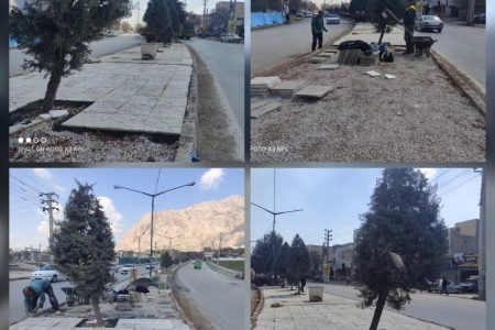 موزاییک فرش بلوار دانشگاه در دست کار قرار گرفت