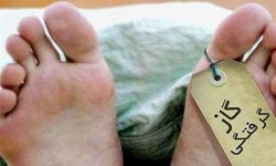 مسمومیت با گاز مونوکسیدکربن جان ۲۷ کرمانشاهی را گرفت