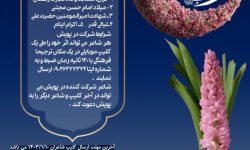 فراخوان پویش شاعرانه بهار در بهار صادر شد 