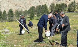 کاشت بیش از ۴۰۰۰ هزار اصله نهال در روز طبیعت
