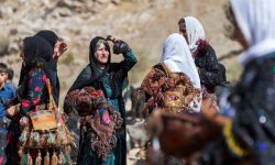مدیر پایگاه جهانی منظر فرهنگی تاریخی اورامانات خبرداد: برگزاری آیین باستانی «سوله» در کلاشی لولم اورامانات کرمانشاه