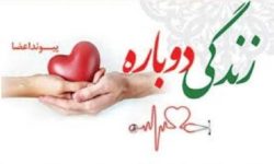 جوان کرمانشاهی جان دوباره به بیماران پیوند عضو بخشید