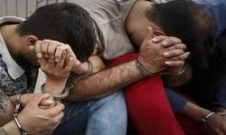 شکارچیان غیرمجاز در دام قانون افتادند