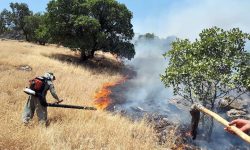 مهار آتش سوزی باینگان پس از ۴ روز