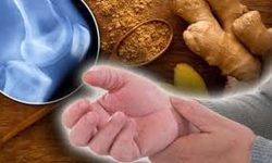 زنجبیل، ادویه ای ضد سرطان