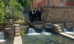 فعالیت ۱۸۰ مزرعه آبزی پروری در مجتمع ریجابی