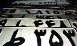 جاعلان پلاک، در دام قانون