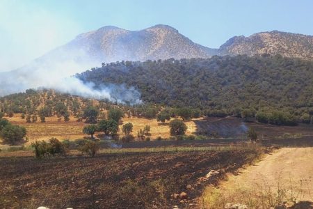 خسارات زیست بومی آتش سوزی در گیلانغرب