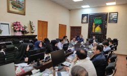 احیای درآمد های پایدار در شهرداری لازم است