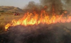 حریق به جان گیلانغرب افتاد