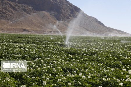 لزوم کاهش اثر تنش دمایی و نوری محصولات باغی