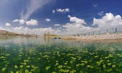 احیای سراب نیلوفر، سه تا پنج سال زمان میبرد