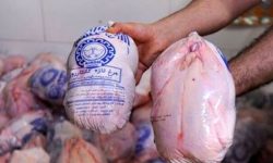کردستان عراق، بازار مهمی برای صادرات مرغ کرمانشاه