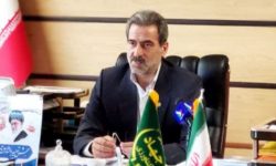 کشت نخود نسبت به سال قبل، ۲۶ درصد رشد داشته است