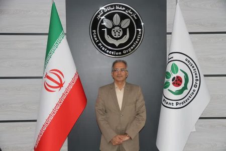 لزوم رعایت تناوب زراعی در کاشت غلات
