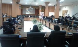 میانگین سقط جنین کشور، ۳۱۱ تا ۵۳۰ هزار جنین است