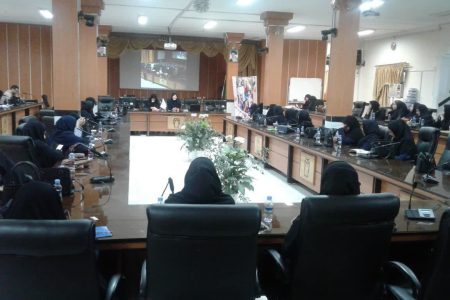 میانگین سقط جنین کشور، ۳۱۱ تا ۵۳۰ هزار جنین است