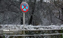 نیمه دوم دی ماه، پربارش خواهد بود