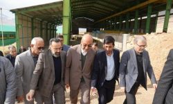 استاندار کرمانشاه پیگیر مشکلات واحدهای تولیدی صحنه شد