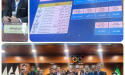 داریوش کرمی عضو هیات رییس فدراسیون شطرنج شد