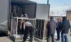 جزییات ذخیره‌سازی میوه شب عید کرمانشاه