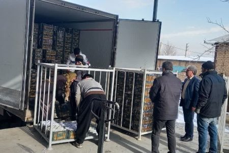 جزییات ذخیره‌سازی میوه شب عید کرمانشاه