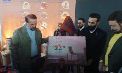 از سه پروژه شهر خلاق خوراک کرمانشاه رونمایی شد