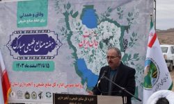 کاشت یک میلیون و ۵۰۰ هزار اصله نهال طی سال جاری در کرمانشاه